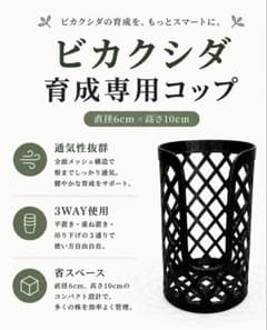 pay　ビカクシダ育成専用コップ　30個 ももん様専用 ビカクシダ 育成専用コップ 10個 - メルカリ