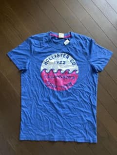 Hollister Co. 00s Tシャツ Mサイズ 新品未使用のサムネイル