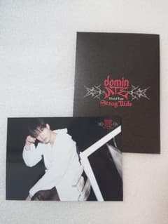 Stray Kids worldtour dominATEトレーディングカードのサムネイル