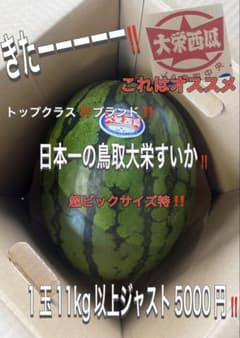 きたーー‼️本日入荷です‼️日本一の鳥取大栄すいか超特大‼️特別ジャスト5000円3 きたーー‼️本日入荷です‼️日本一の鳥取大栄すいか超特大‼️特別