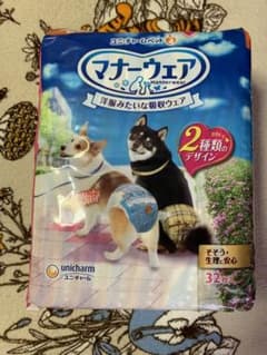マナーウェア 女の子 Lサイズ 中型犬のサムネイル