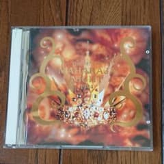 マハラジャナイト1994のサムネイル