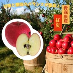 ★期間限定★青森県産 紅夏（べにか） 激レア りんご 家庭用 6~8玉 ⑮のサムネイル