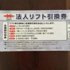 ガーラ湯沢 リフト券 ペア・ファミリー向け GALA湯沢のサムネイル