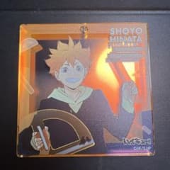 ハイキュー‼︎BIGオーロラブロッキー日向翔陽 - メルカリ