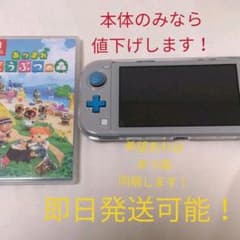 (美品)あつ森同梱できます。ニンテンドースイッチライト ザシアン・ザマゼンタのサムネイル