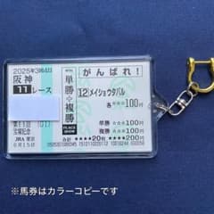 メイショウタバル 2025宝塚記念 応援単勝馬券【カラーコピー】＋馬券