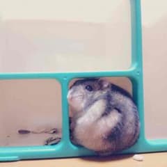 Gracia様専用のサムネイル