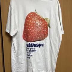 ステューシーTシャツのサムネイル