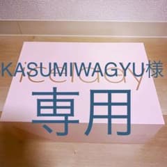 家庭用光美容器 icelady アイスレディのサムネイル