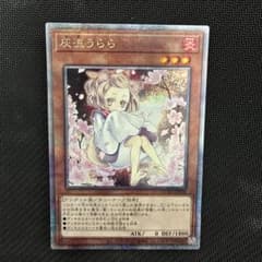 遊戯王 灰流うらら 絵違い クォーターセンチュリーシークレットレア