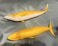 アンドコ　デアゴスティーニ　シロナガスクジラ　金のサムネイル