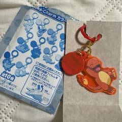 포켓몬스터 포켓 매력 히토카게