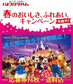 急げ❗️懸賞応募券・16枚set・送料込★プリマハム 春のおいふれキャンペーンのサムネイル