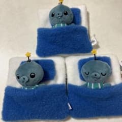 교육 프로그램 이불 릴 패스 케이스 총 3종