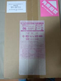 チェンソーマン　最終話　複製原稿のサムネイル