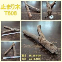 止まり木（枝：TOY-08-015）T608 - メルカリ