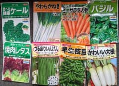 春まき　野菜の種8種類　おまけ2種付きのサムネイル