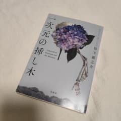 一次元の挿し木のサムネイル