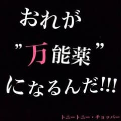 てつやさん専用 アダムスキー2枚のサムネイル