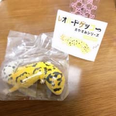 レオパードゲッコー おやすみシリーズのサムネイル