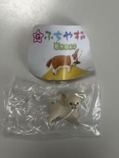 ふちやすみ 色々わんこ チワワ - メルカリ