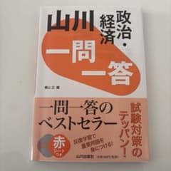 新品　山川一問一答政治経済美品のサムネイル