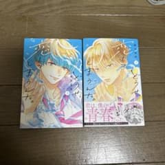 どうせ、恋してしまうんだ。2巻3巻セットのサムネイル