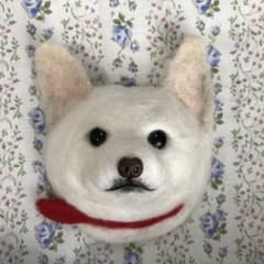 白い日本犬　羊毛モチーフのサムネイル