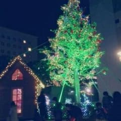 m_vv_xさん専用のサムネイル