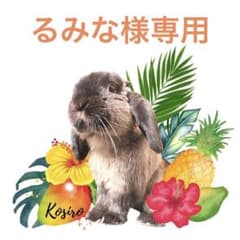 るみな様専用　乾燥青パパイヤのサムネイル