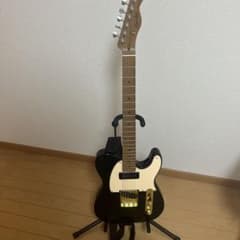 (美品)Bacchus BTE-2RSM Fender pickup GOTOHのサムネイル