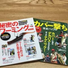 カバー撃ち 秘密のワーミング バス釣り雑誌のサムネイル