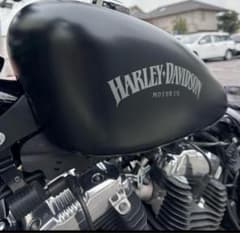 ブラックデニム12.5ℓスポーツスターEFI純正タンク(売り切り) ブラックデニム12.5ℓスポーツスターEFI純正タンク(売り切り) - メルカリ