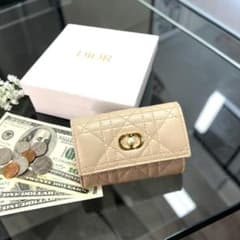 正規品＆極美品‼️ ディオール カナージュ Glycine コンパクトウォレット