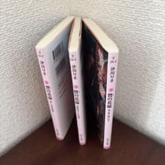 贄の花嫁 沙川りさ 角川文庫 3冊セットのサムネイル