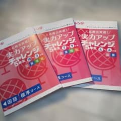 昨年度 進研ゼミ 5年生 実力アップチャレンジ 4〜6月/7〜9月/10〜3月のサムネイル