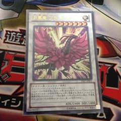 月華竜ブラックローズのサムネイル
