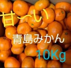 ★★暑がりの寒がり様専用です★★無農薬★青島みかん 約10Kg 甘いですのサムネイル