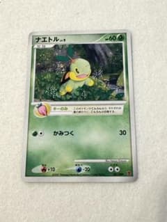 ポケモンカードナエトル P 第5期プレイヤーズけいけんち2000~2900EXP
