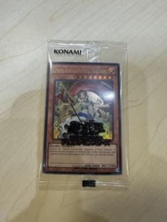 日本選手権プロモのサムネイル