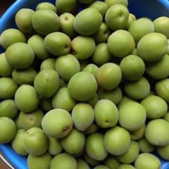 無農薬栽培　愛知県産　青梅LLサイズ３㎏＋おまけのサムネイル