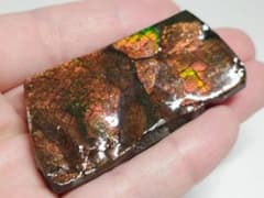 アンモライト 531g アンモナイト 原石 鑑賞石 自然石 誕生石 鉱物 水石 アンモライト 55g アンモナイト 原石 鑑賞石 自然石 誕生石 鉱物 水石
