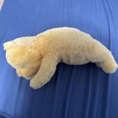 くまのプーさん展 ぬいぐるみのサムネイル