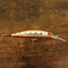ザウルス   レックスディープのサムネイル