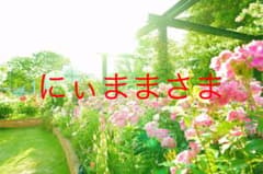 にぃまま様のサムネイル