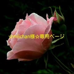 ☆miichan様☆専用ページです☆のサムネイル