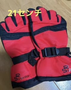 スノーグローブ　21センチのサムネイル
