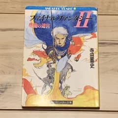 ファイナルファンタジー２ FINAL FANTASY 夢魔の迷宮 天野喜孝