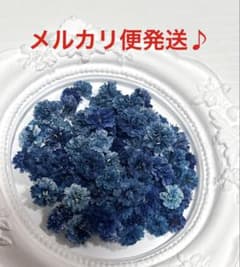 かすみ草 ドライフラワー ネイビー系 中〜大粒のサムネイル
